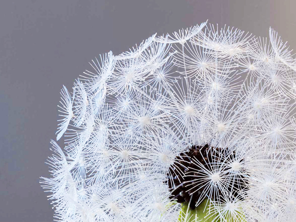 Making Imagination Real - 3D Printing Pen Technology