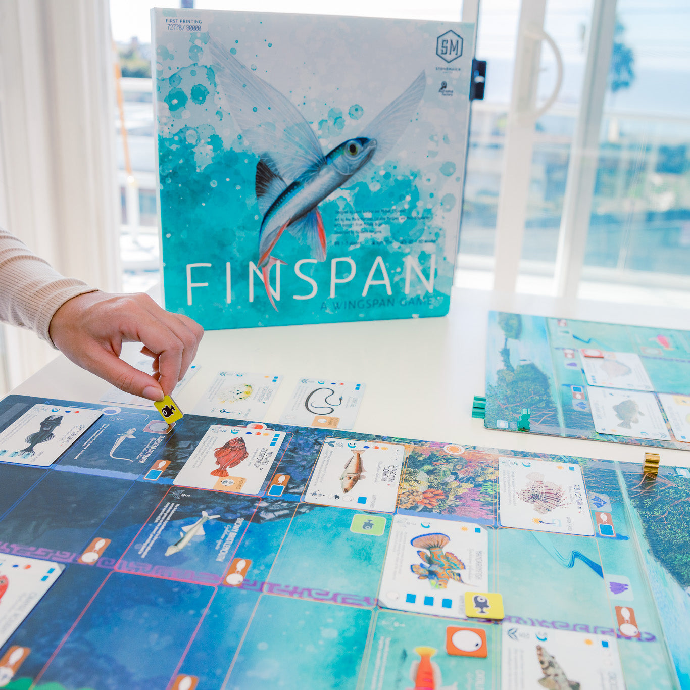 Finspan Board Game