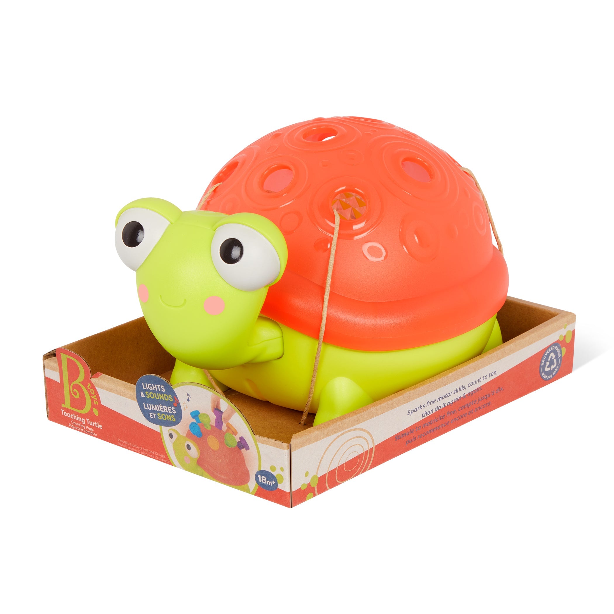 Teaching Turtle Counting Pegs