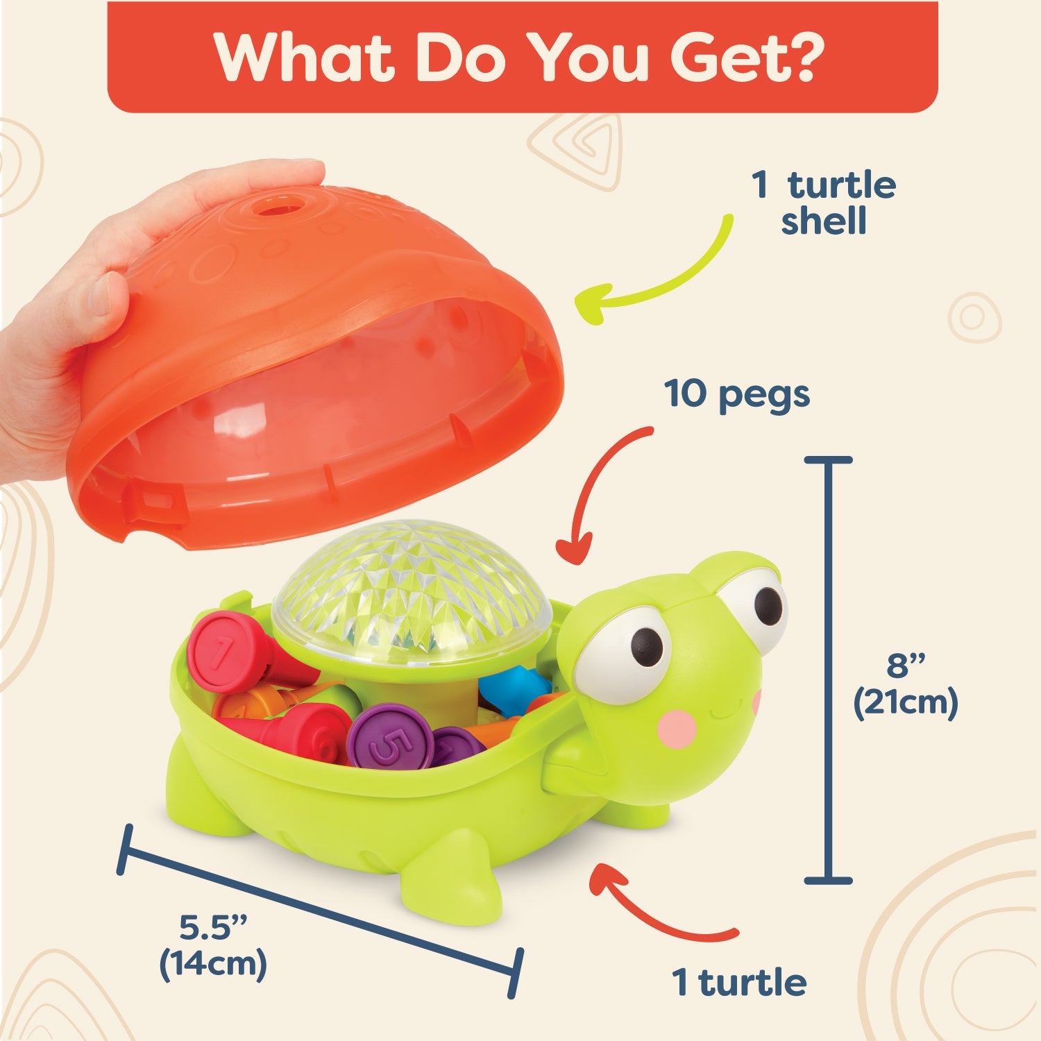Teaching Turtle Counting Pegs