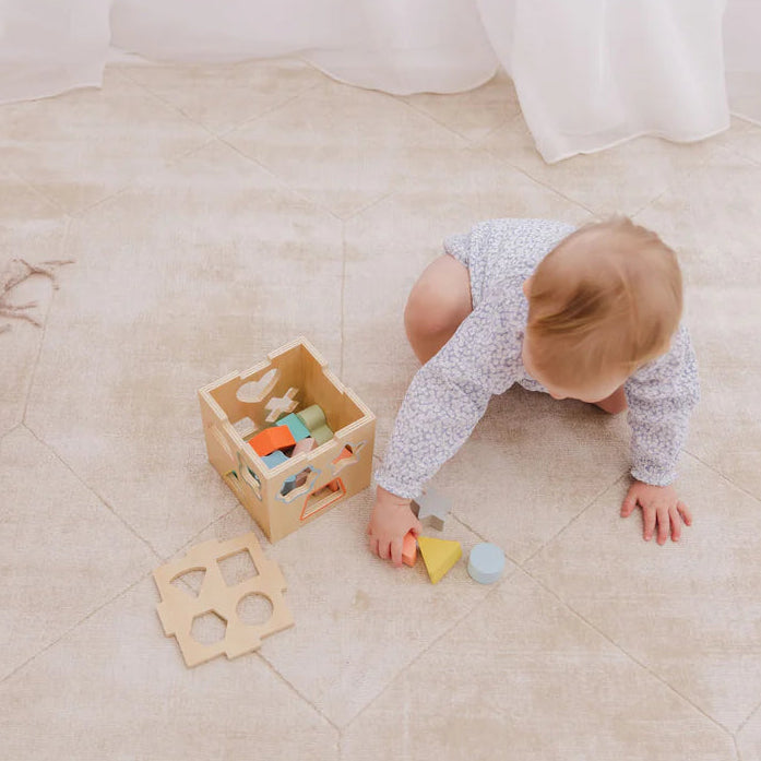 Bubble Wooden Shape Sorting Cube
