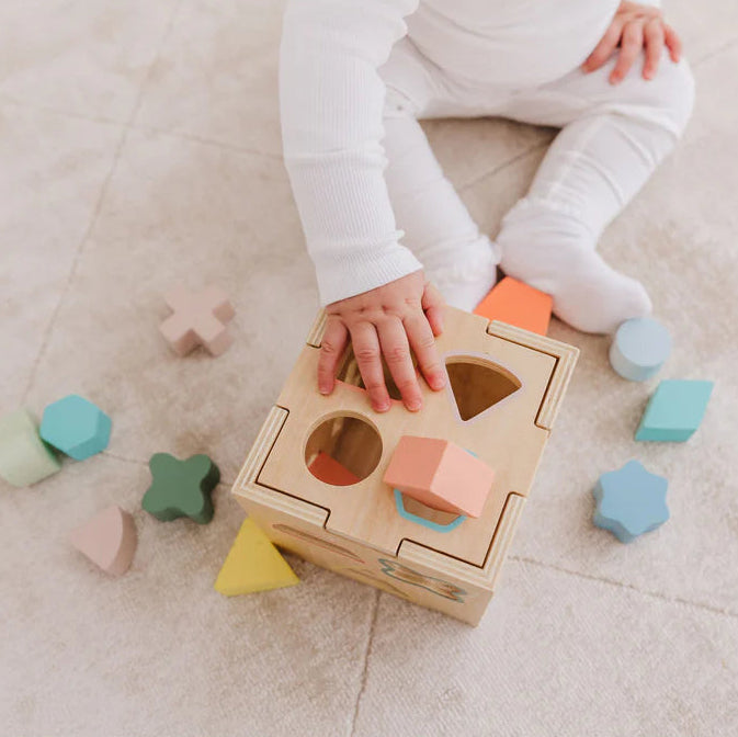 Bubble Wooden Shape Sorting Cube