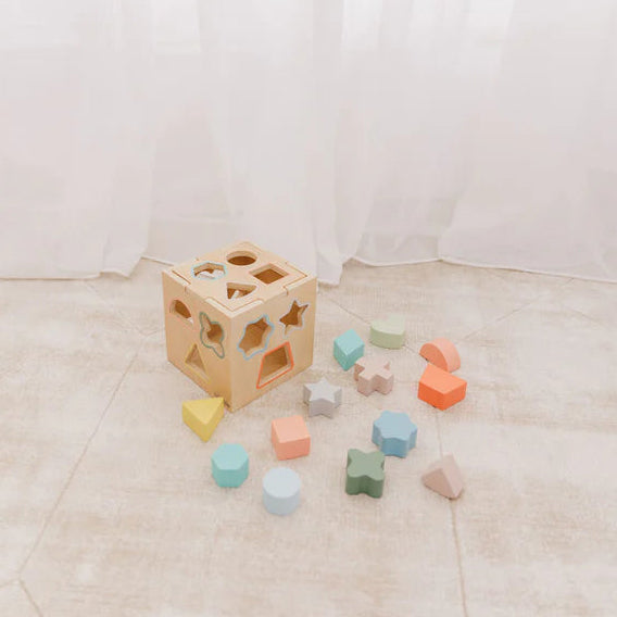 Bubble Wooden Shape Sorting Cube