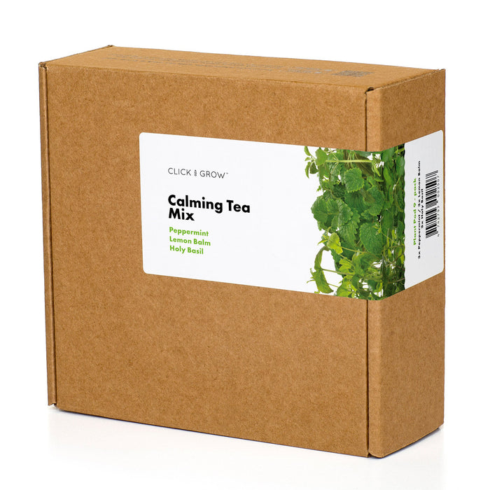 Calming Tea Plant Pods