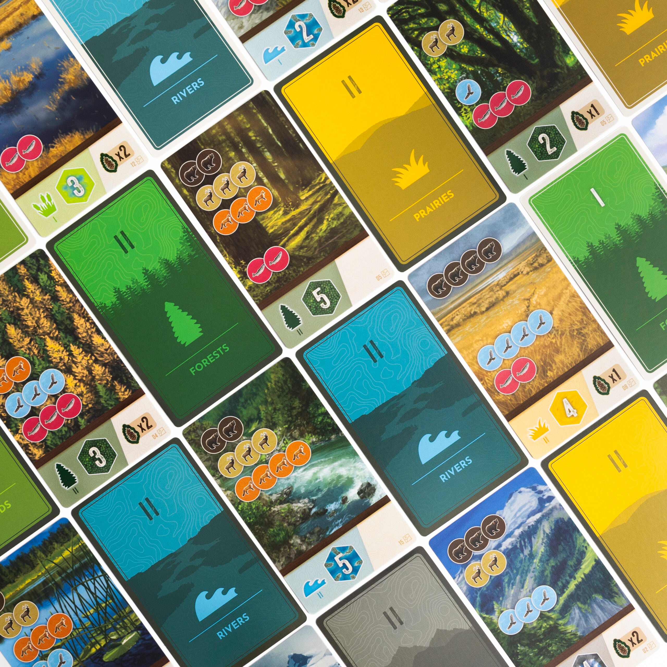 Cascadia: Rolling with 2024 Promo Bundle