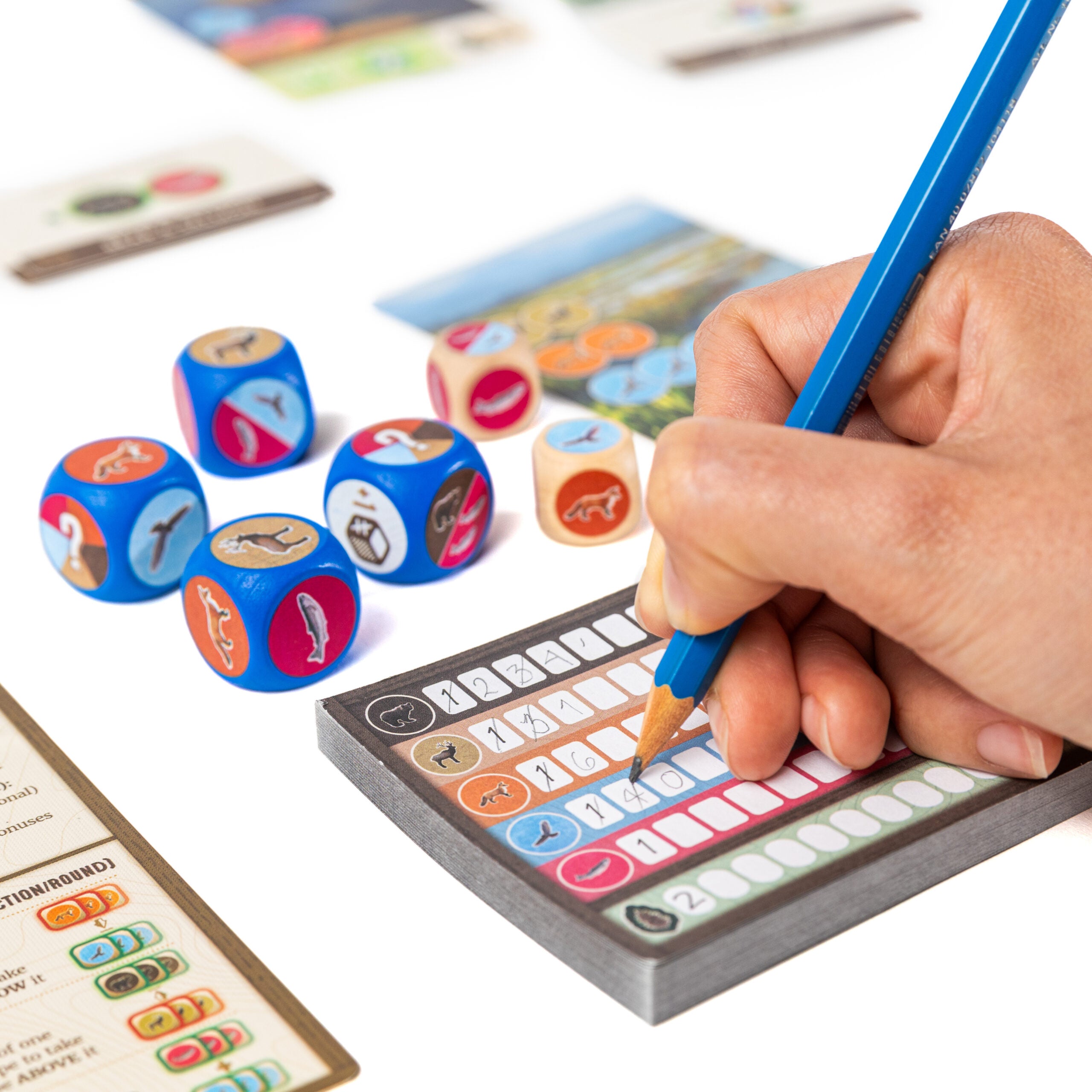 Cascadia: Rolling with 2024 Promo Bundle