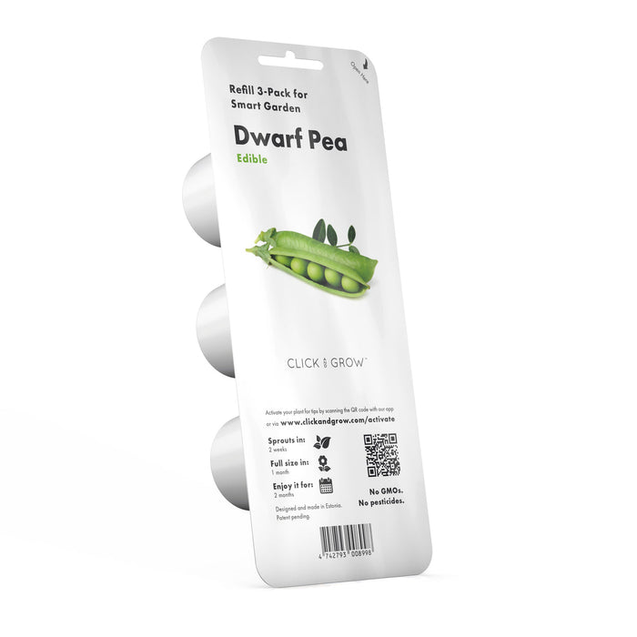 Dwarf Pea Plant Pods