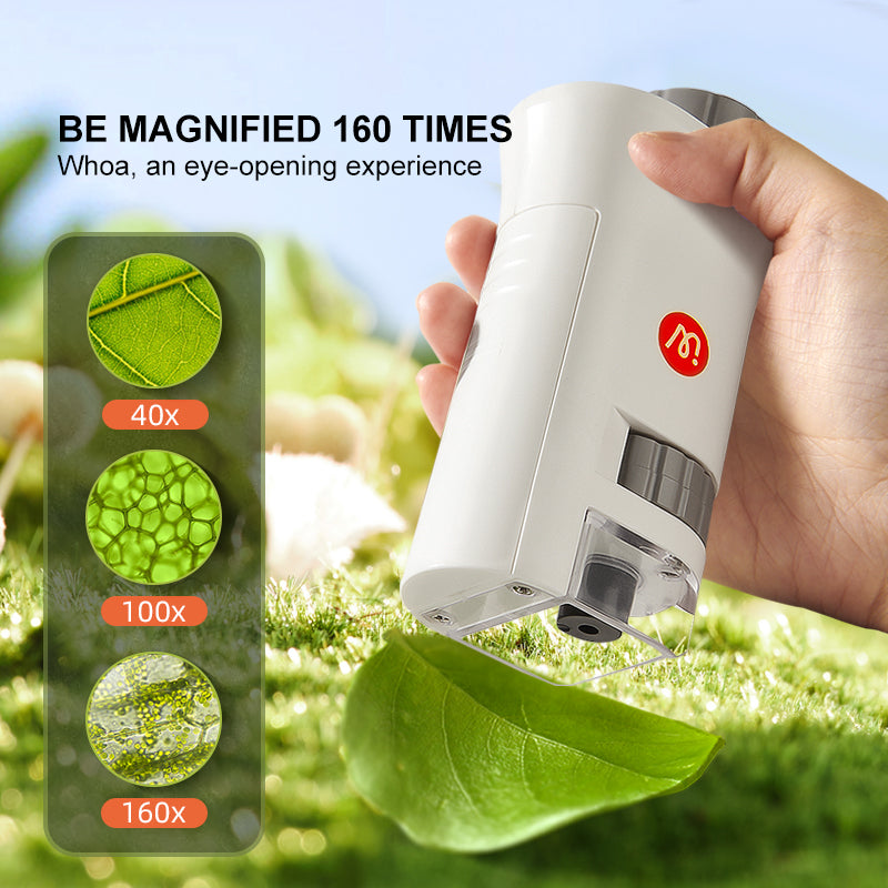 Exploring With Microscope