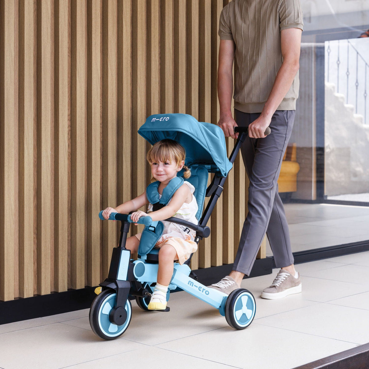 Micro Tricycle – image 2