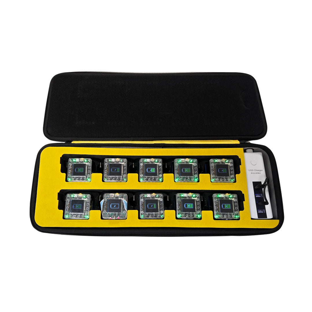 KaiBot Charging Carry-Case