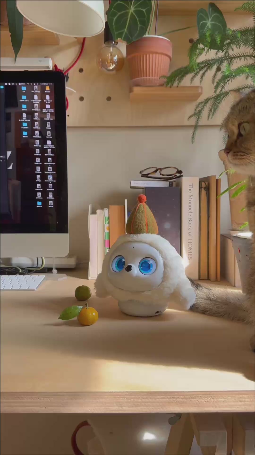 Load video: ropet™ KAMOMO - Interactive AI Plush Robot Pet &amp; Emotional Comfort Companion