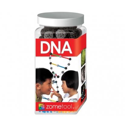 Zometool DNA