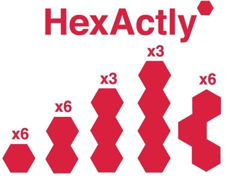 Hexactly - TOYTAG