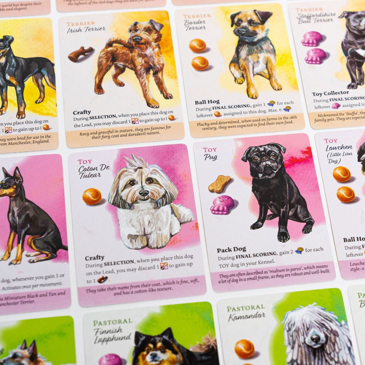 Dog Park - Standard Edition