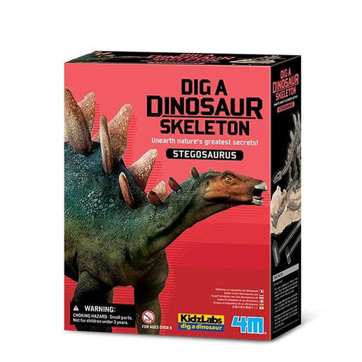 4M Dig a Stegosaurus Skeleton