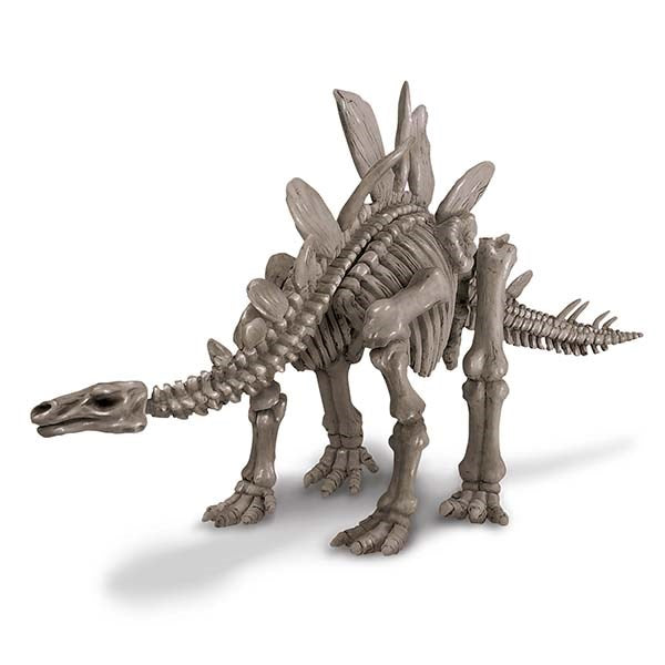 4M Dig a Stegosaurus Skeleton