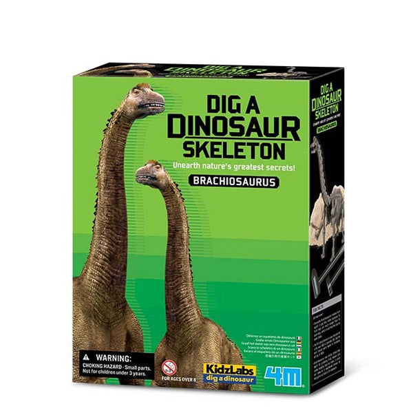 4M Dig a Dinosaur Brachiosaurus Skeleton