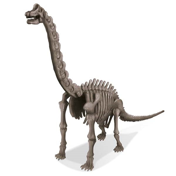4M Dig a Dinosaur Brachiosaurus Skeleton
