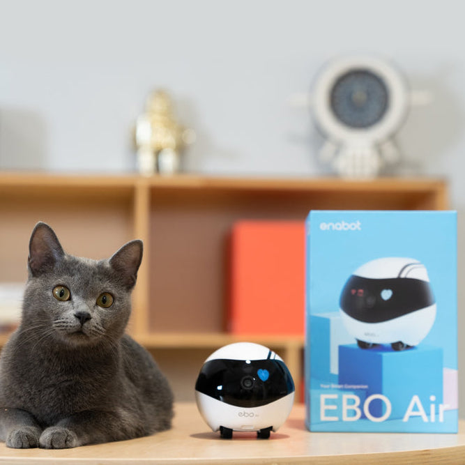 Enabot Ebo Air Smart FamilyBot