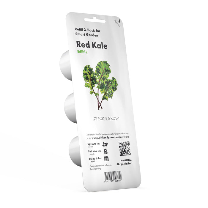 Red Kale Plant Pods