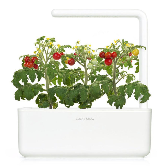 Mini Tomato Plant Pods